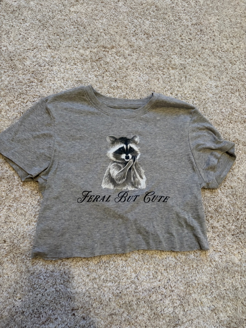 Urban Outfitters Grey Raccoon Graphic Tee